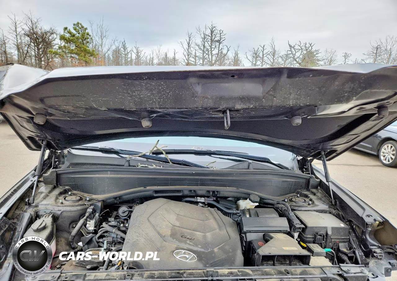 2023 Hyundai Palisade Limited VIN:KM8R5DGE0PU503169 - 12