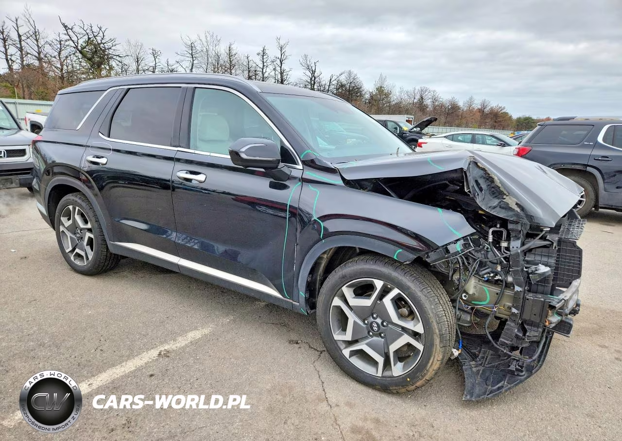 2023 Hyundai Palisade Limited VIN:KM8R5DGE0PU503169 - 4