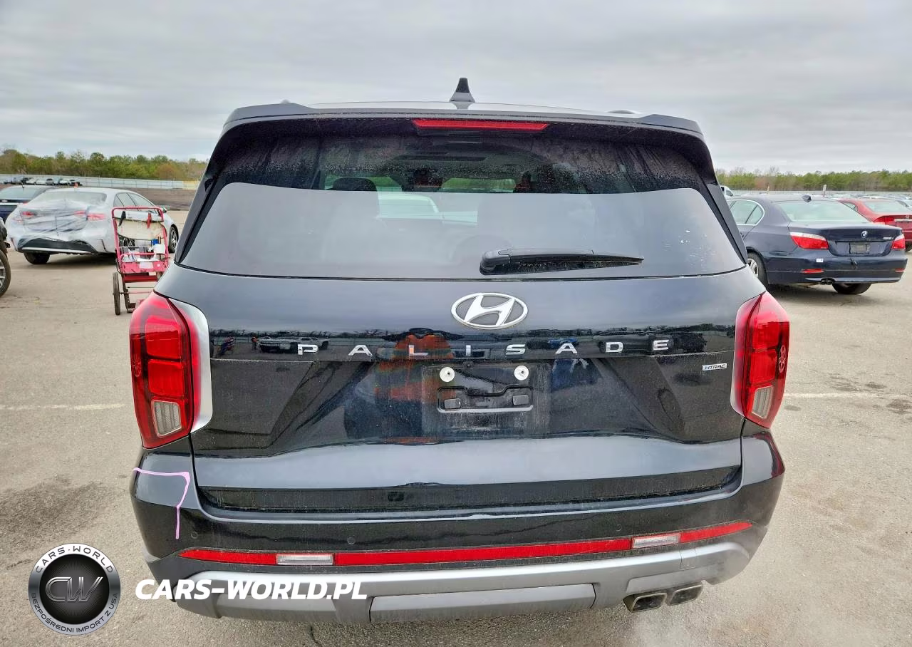 2023 Hyundai Palisade Limited VIN:KM8R5DGE0PU503169 - 6
