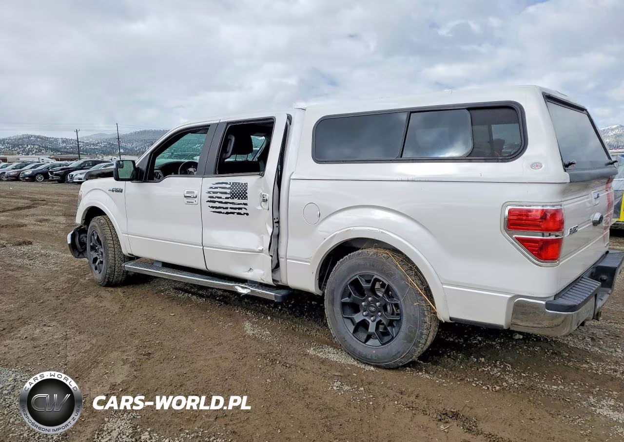 2014 Ford F150 Supercrew VIN:1FTFW1CF0EKE38141 - 2