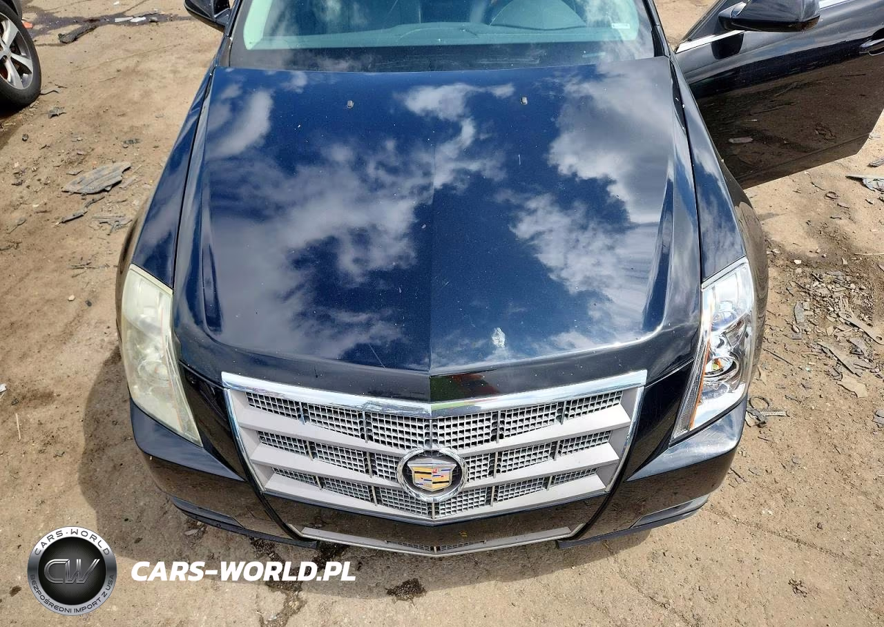 2010 Cadillac Cts Luxury Collection VIN:1G6DG5EG8A0143346 - 11