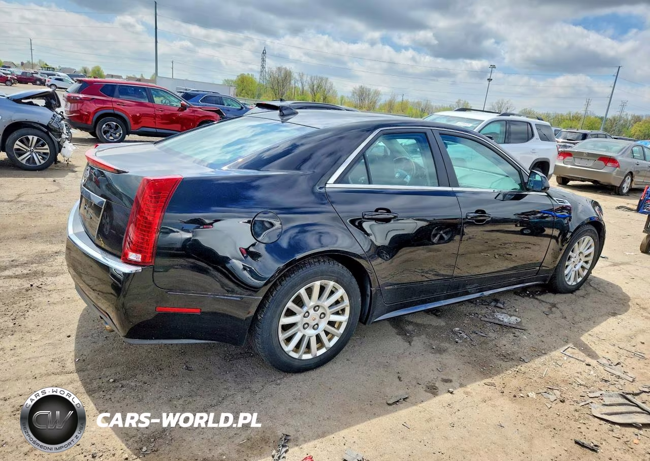 2010 Cadillac Cts Luxury Collection VIN:1G6DG5EG8A0143346 - 3