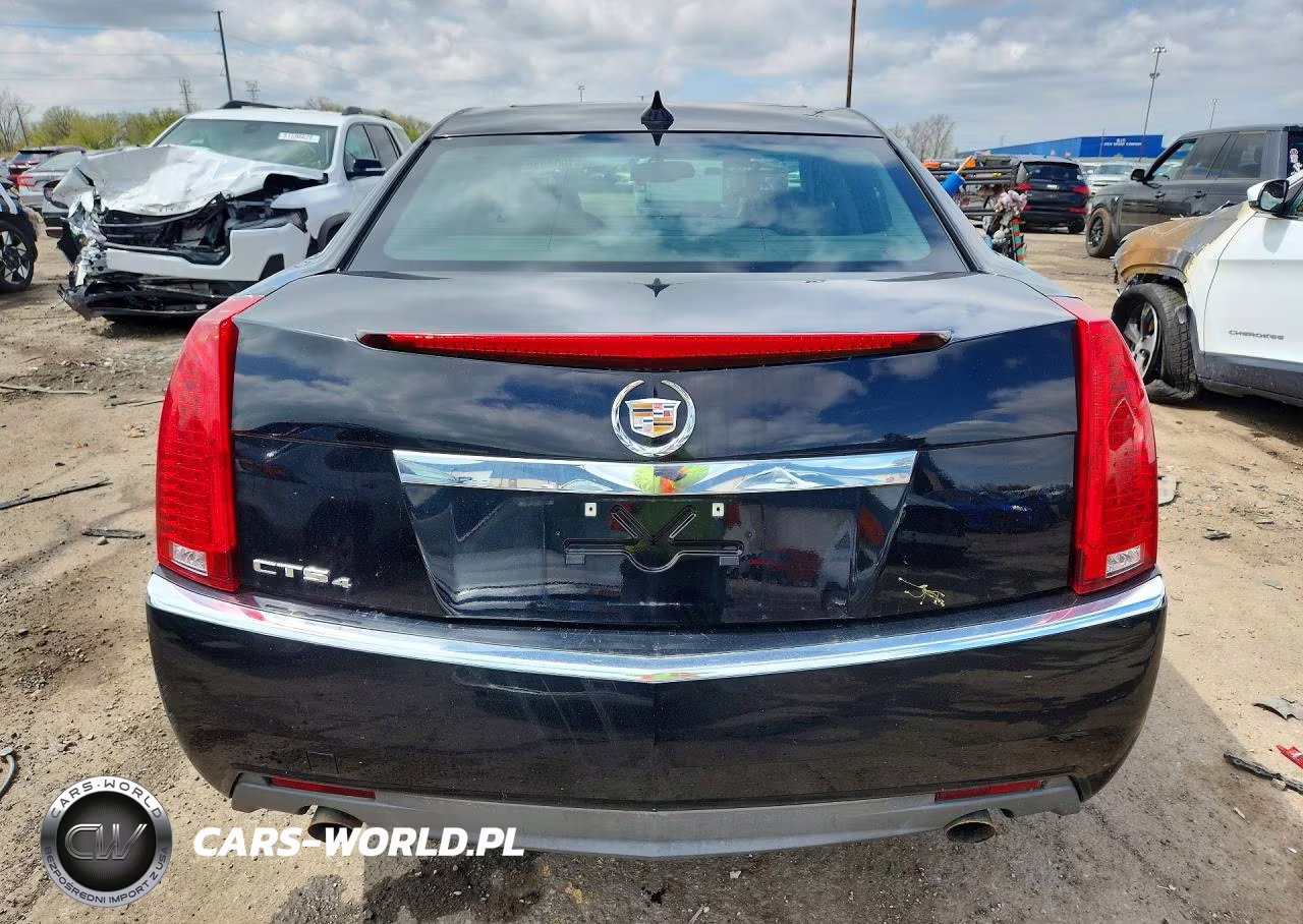 2010 Cadillac Cts Luxury Collection VIN:1G6DG5EG8A0143346 - 6