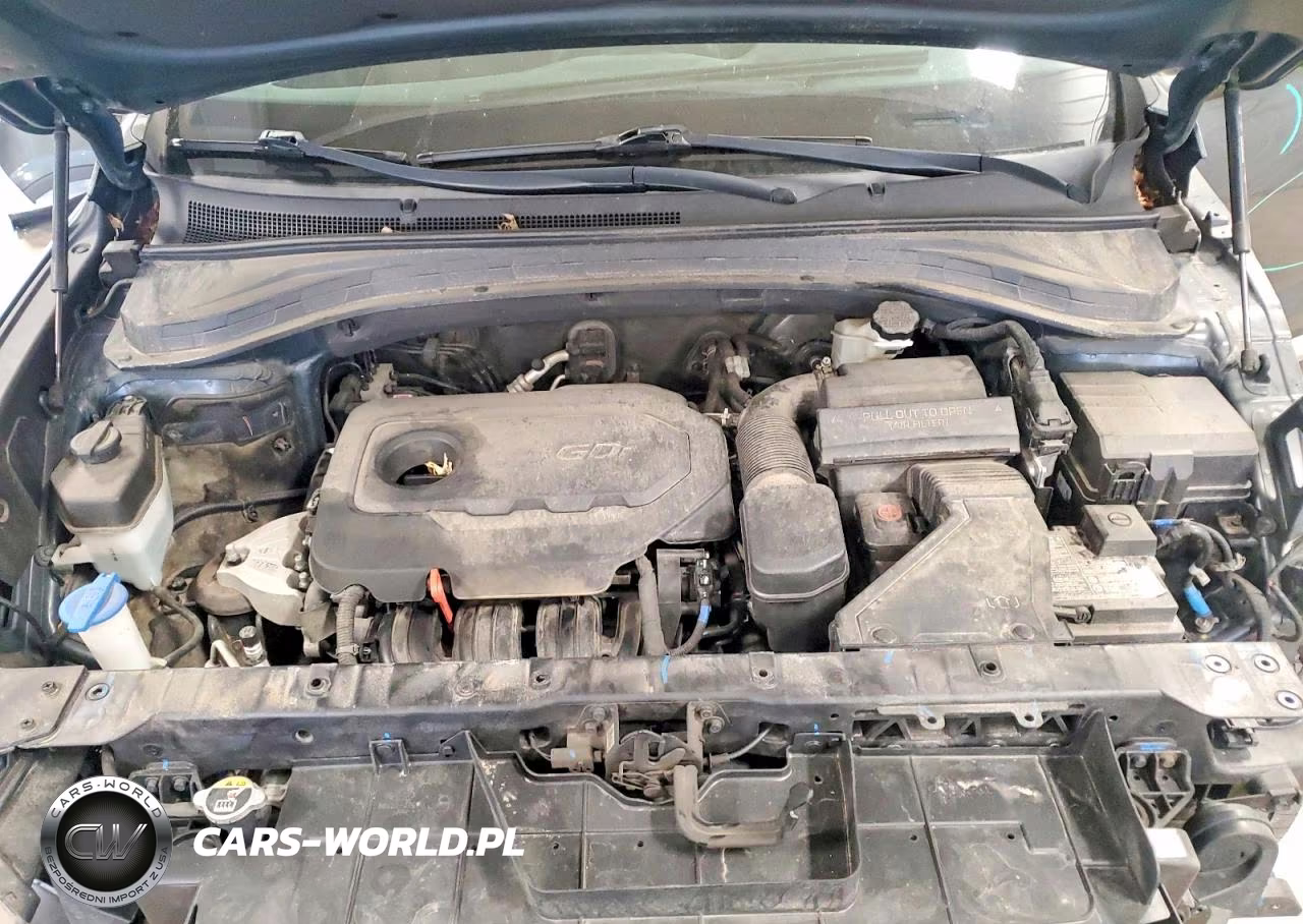 2020 Hyundai Santa Fe Se VIN:5NMS2CAD5LH155279 - 12