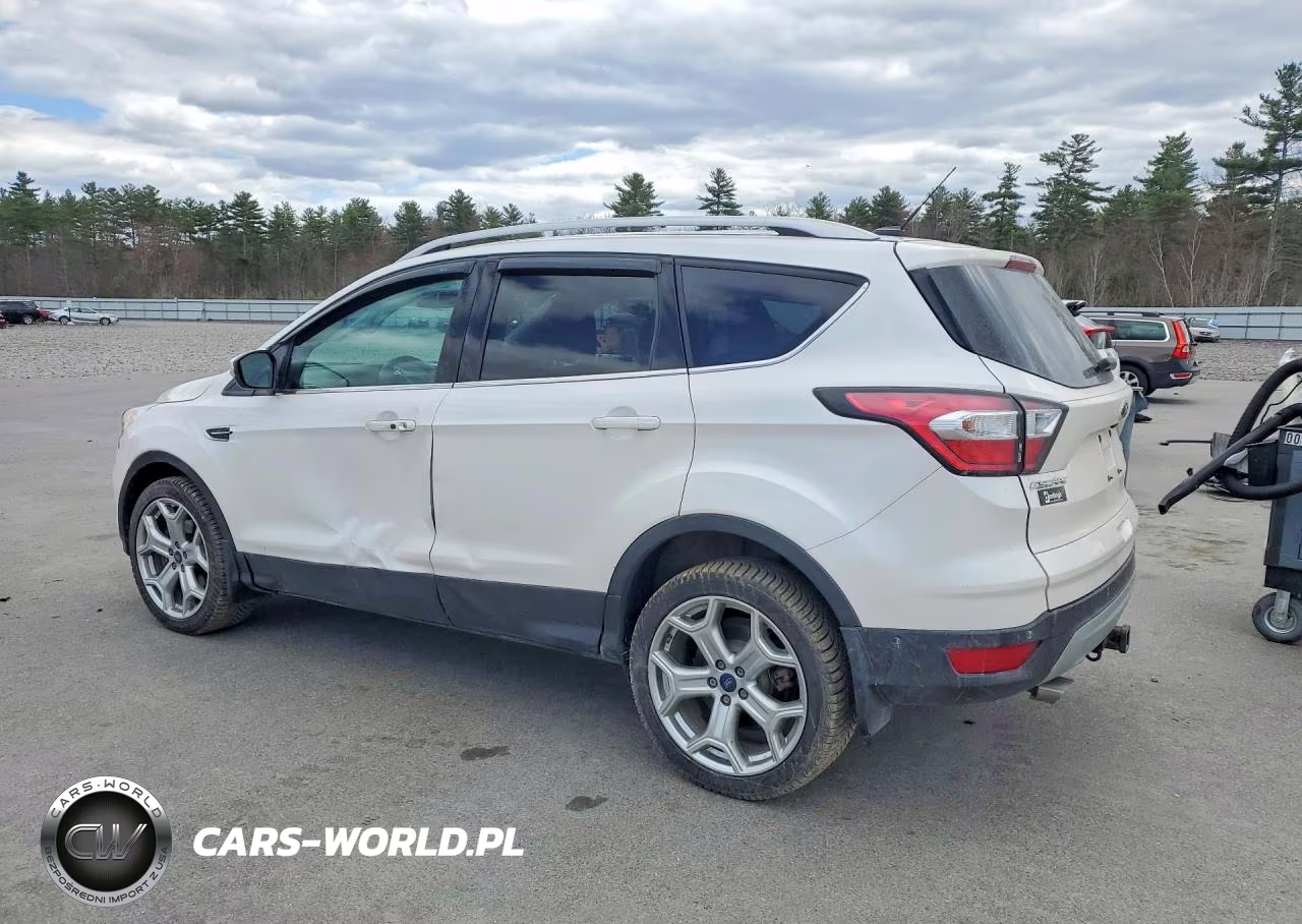 2017 Ford Escape Titanium VIN:1FMCU9J90HUA65238 - 2