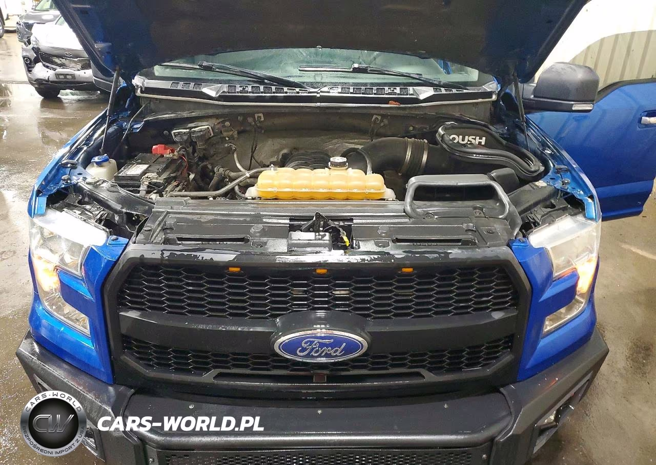 2015 Ford F150 Supercrew VIN:1FTFW1EF2FKD06755 - 11