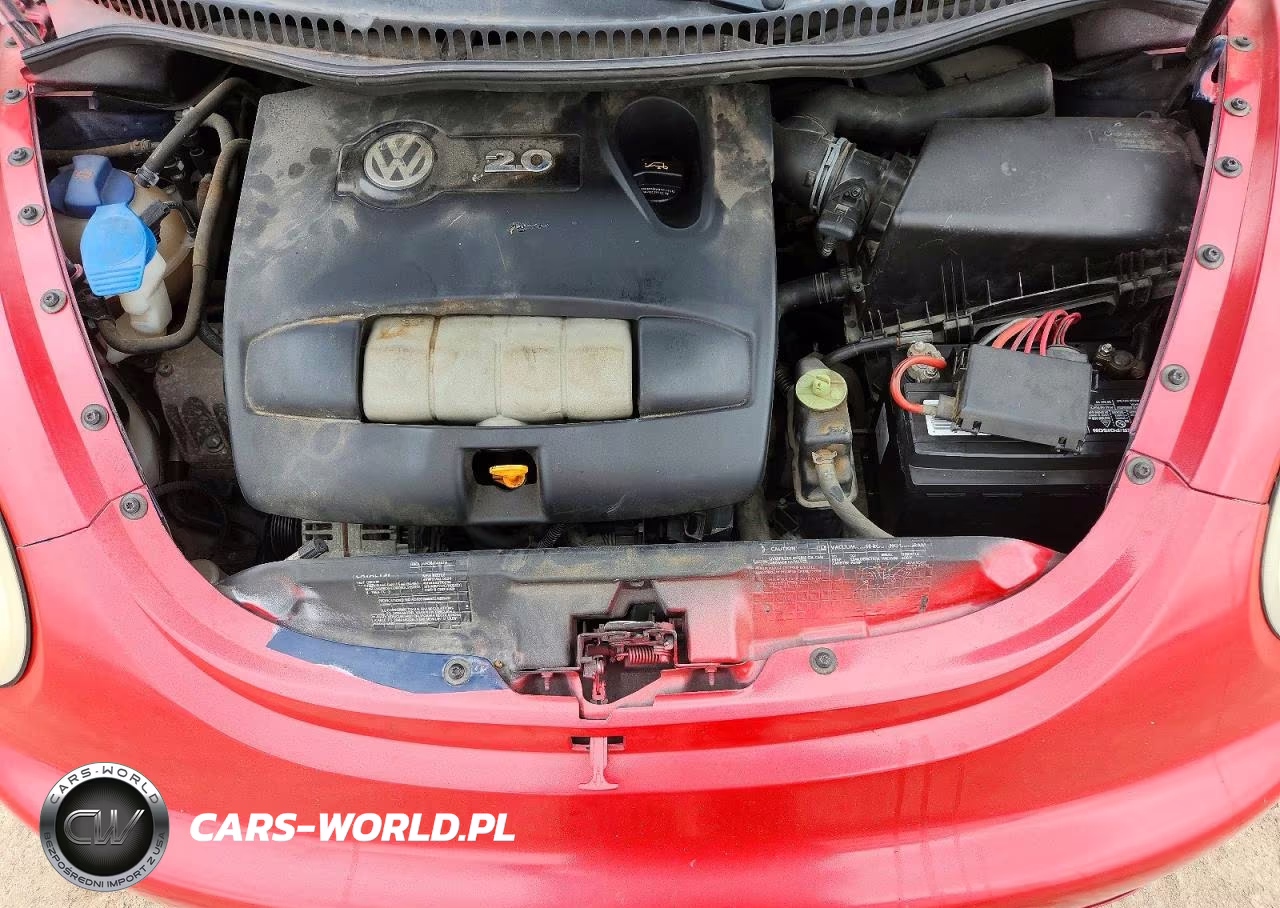 2004 Volkswagen New Beetle Gl VIN:3VWBM31Y24M345274 - 11