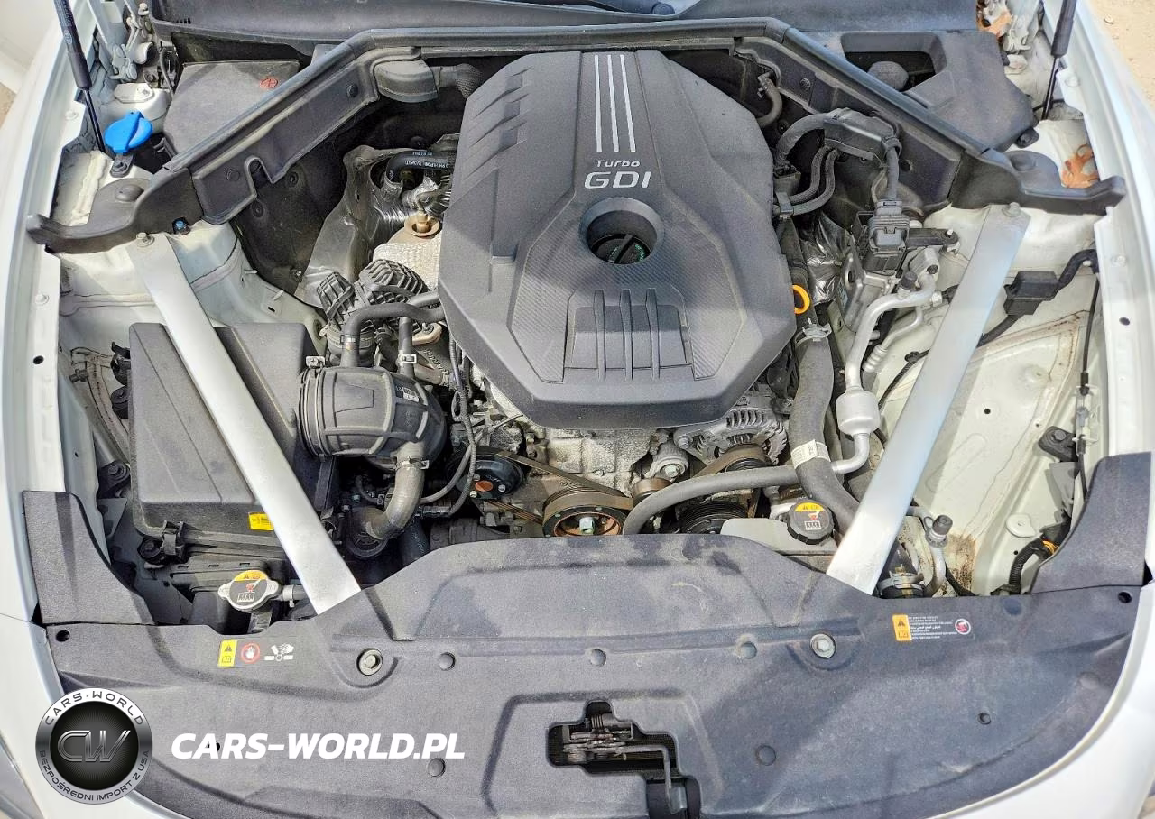 2019 Kia Stinger Premium VIN:KNAE25LA9K6042200 - 11