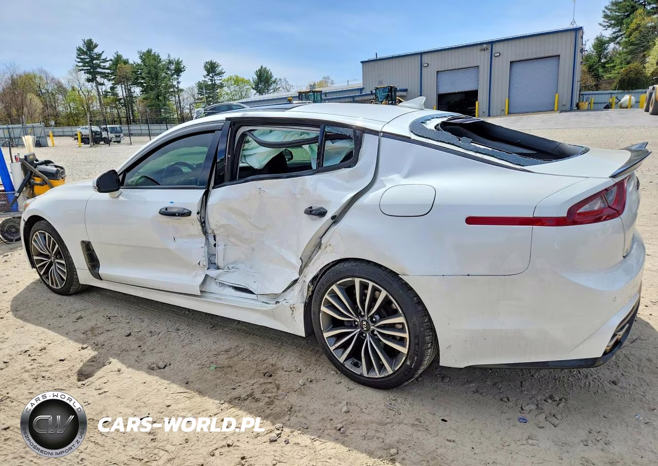 2019 Kia Stinger Premium VIN:KNAE25LA9K6042200 - 2