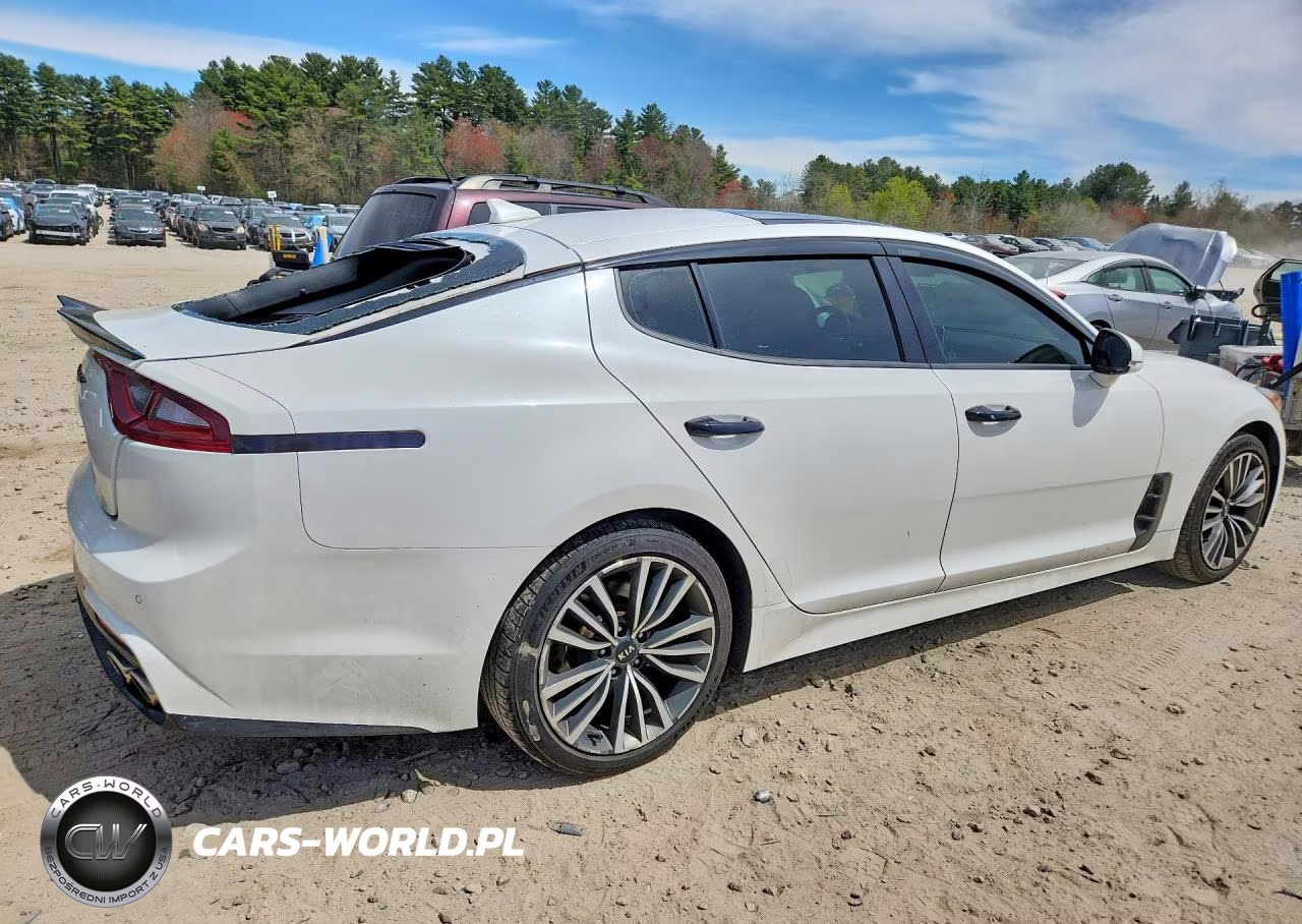 2019 Kia Stinger Premium VIN:KNAE25LA9K6042200 - 3