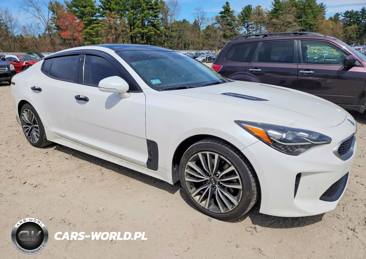 2019 Kia Stinger Premium VIN:KNAE25LA9K6042200 - 4