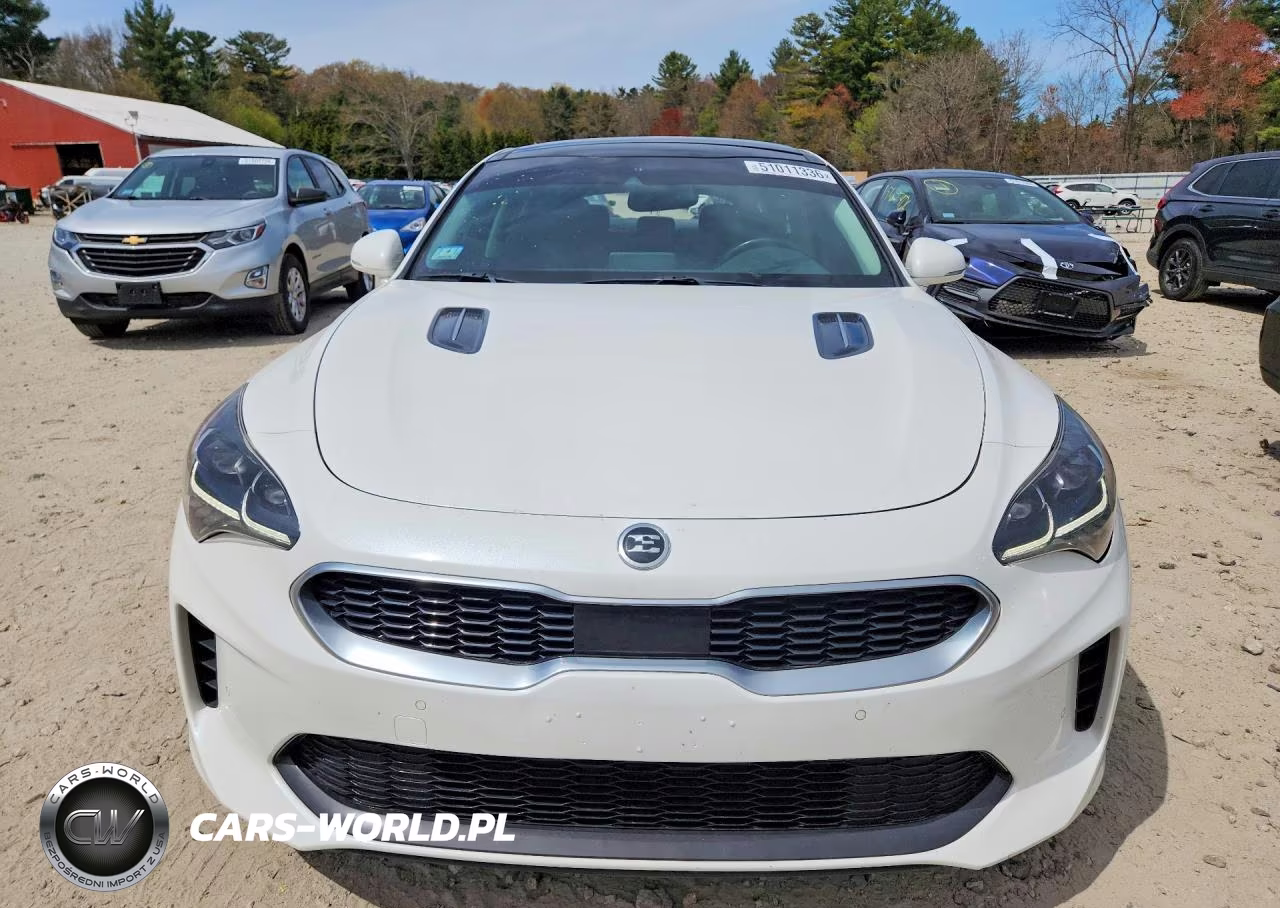 2019 Kia Stinger Premium VIN:KNAE25LA9K6042200 - 5