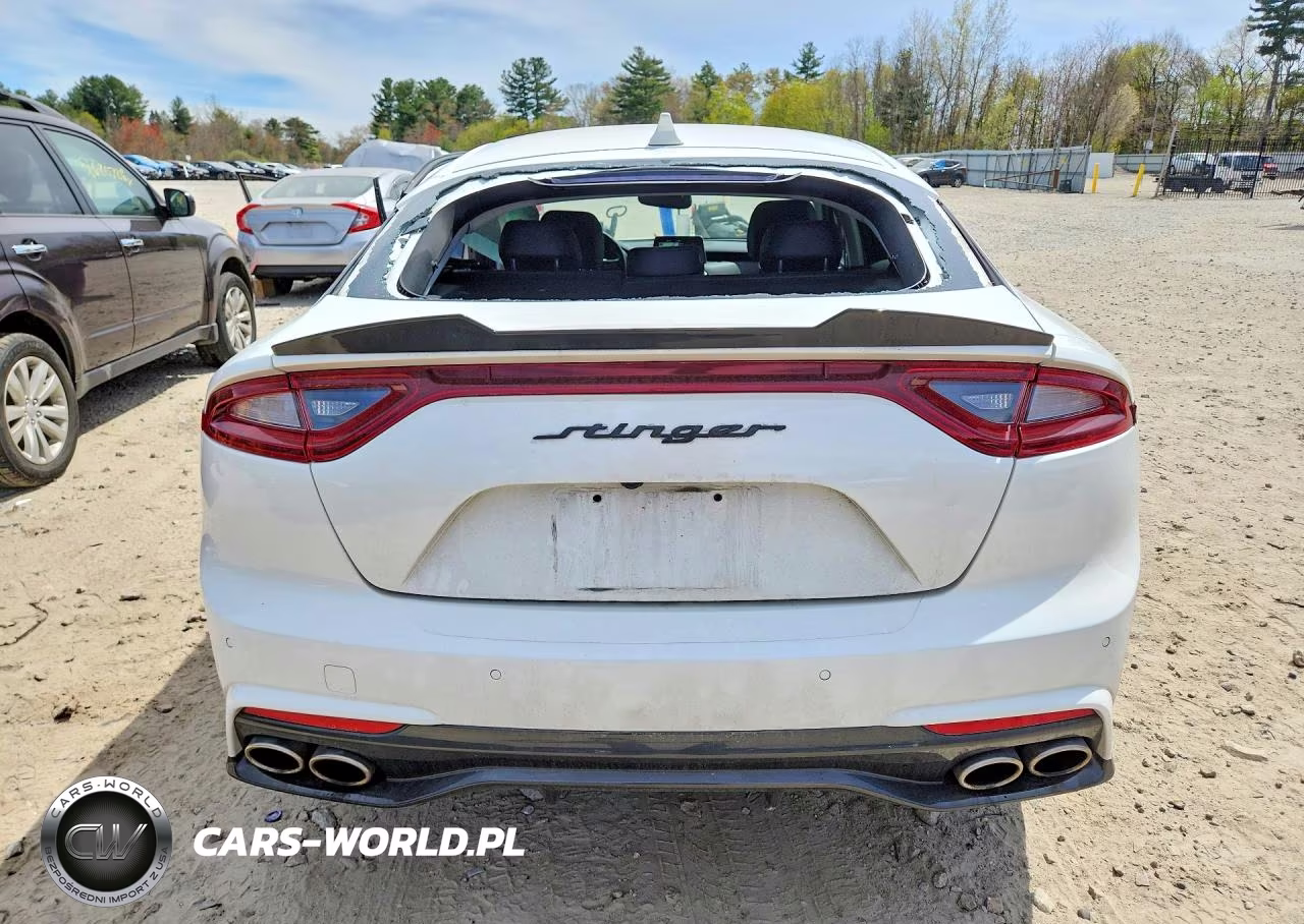 2019 Kia Stinger Premium VIN:KNAE25LA9K6042200 - 6