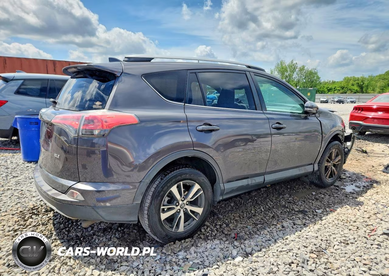 2016 Toyota Rav4 Xle VIN:2T3WFREV7GW238726 - 3