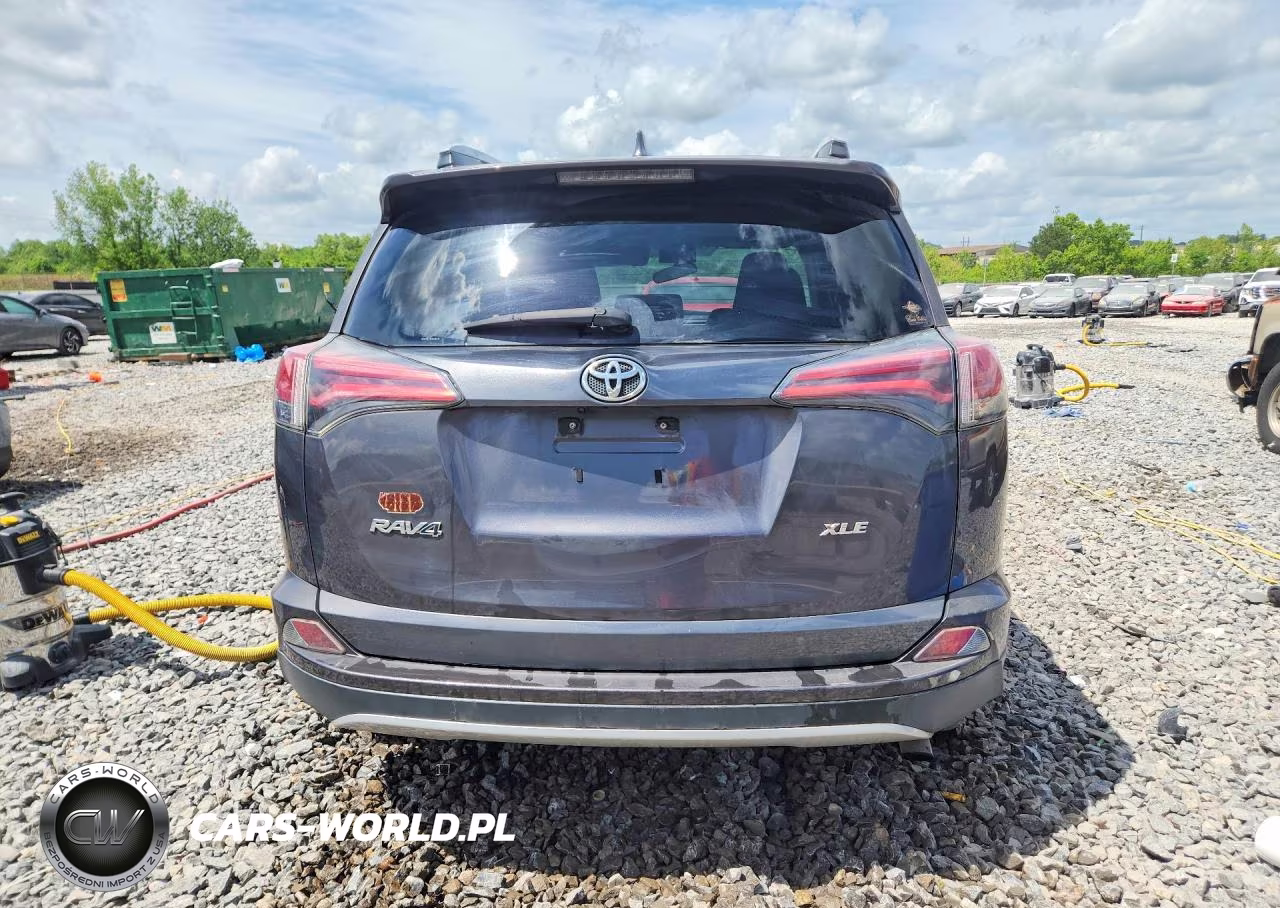 2016 Toyota Rav4 Xle VIN:2T3WFREV7GW238726 - 6