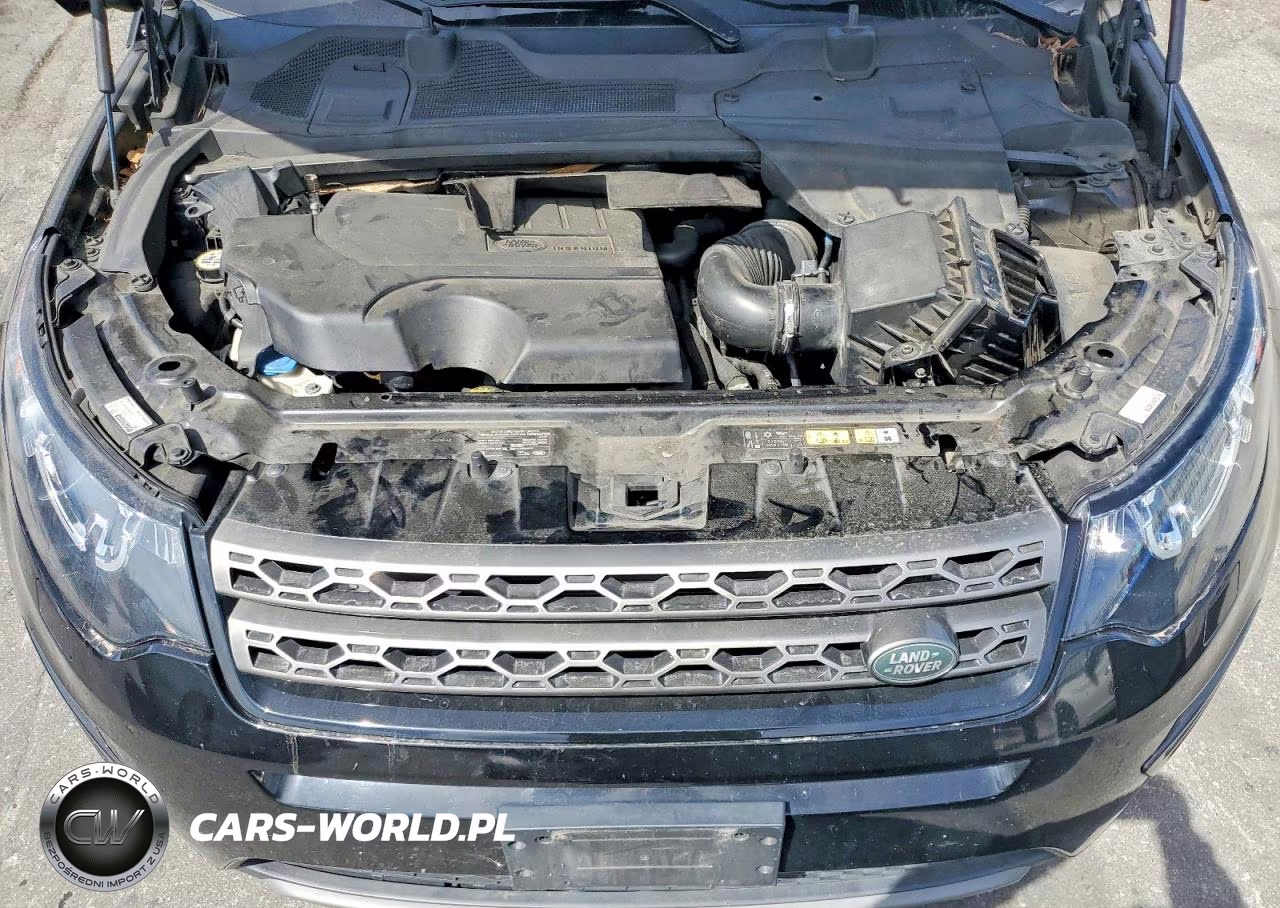 2019 Land Rover Discovery Sport Se VIN:SALCP2FX1KH812011 - 12