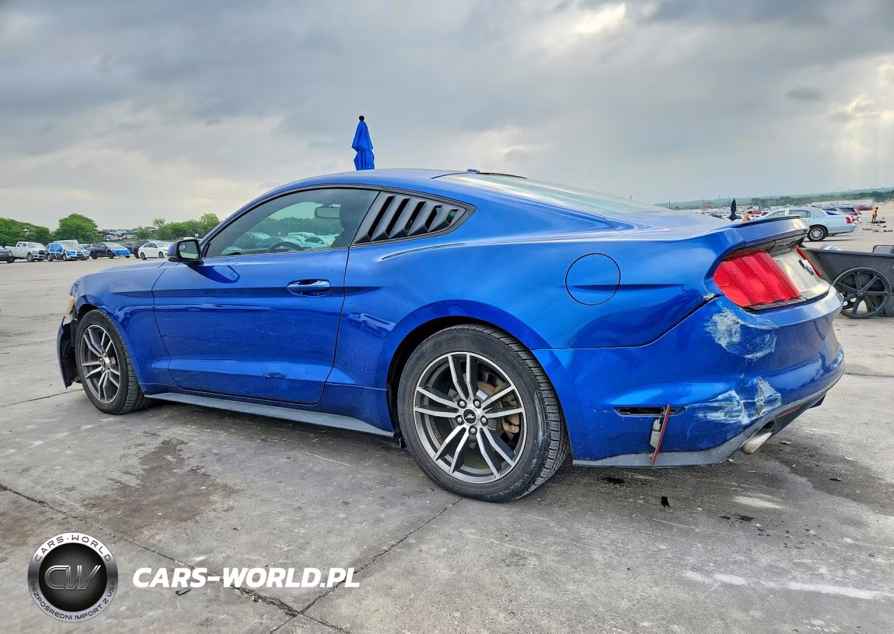 2017 Ford Mustang VIN:1FA6P8TH3H5276876 - 2