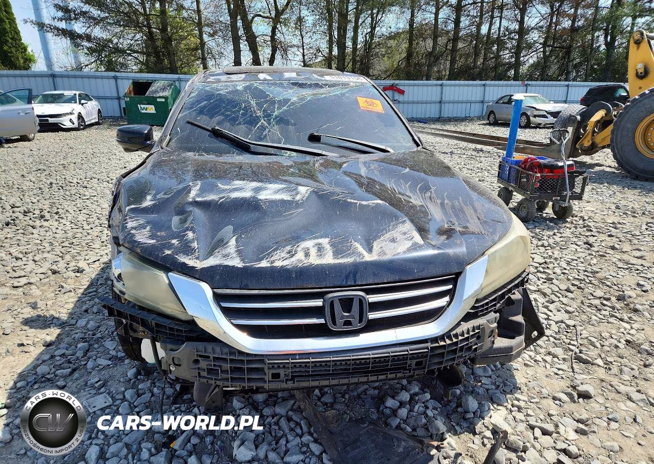2013 Honda Accord Exl VIN:1HGCR2F84DA239435 - 5