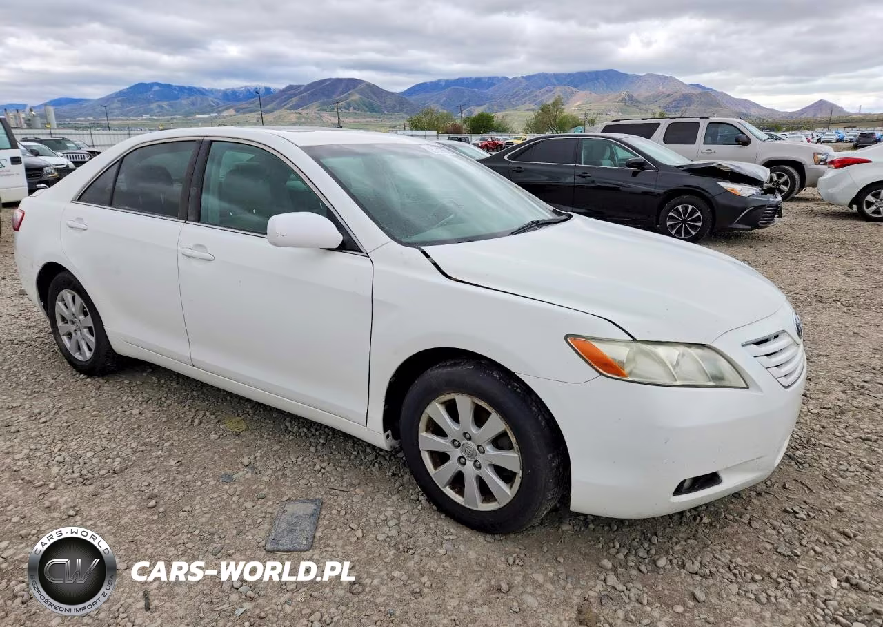 2009 Toyota Camry Xle VIN:4T4BE46K19R133710 - 4