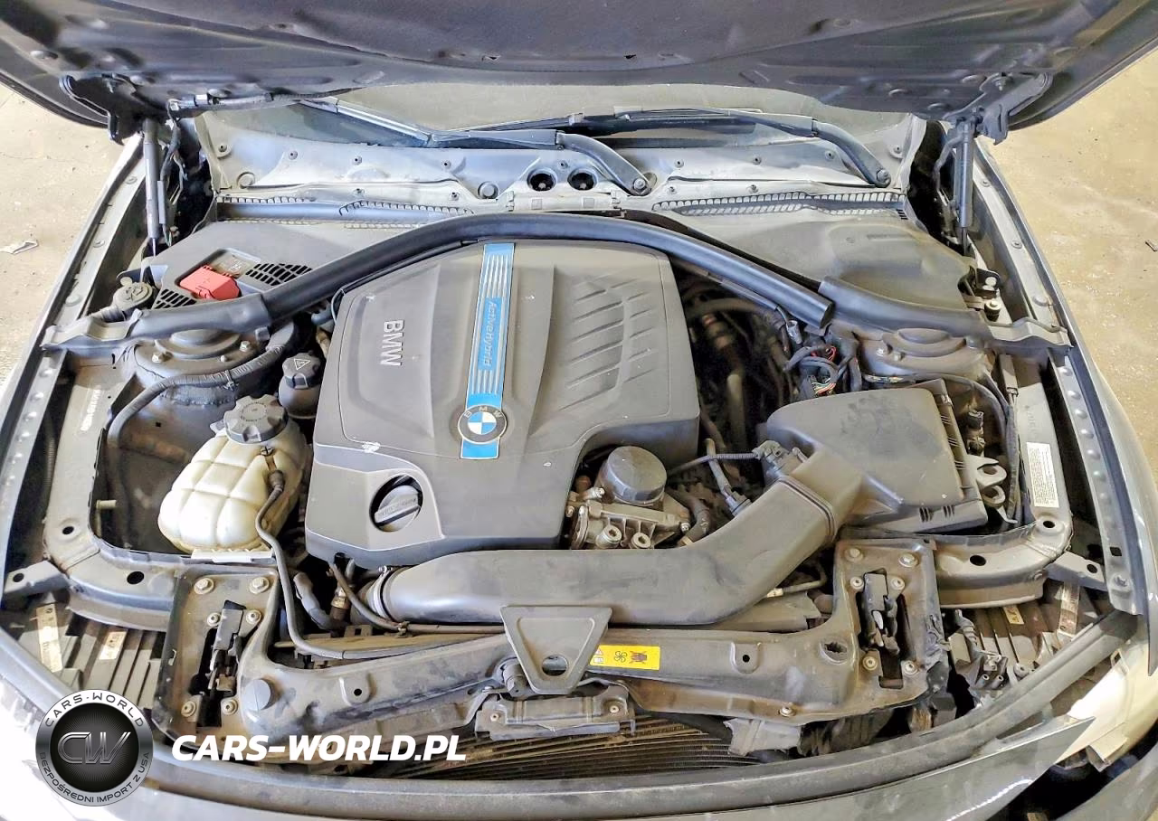 2013 BMW Activehybrid 3 VIN:WBA3F9C55DF145090 - 11