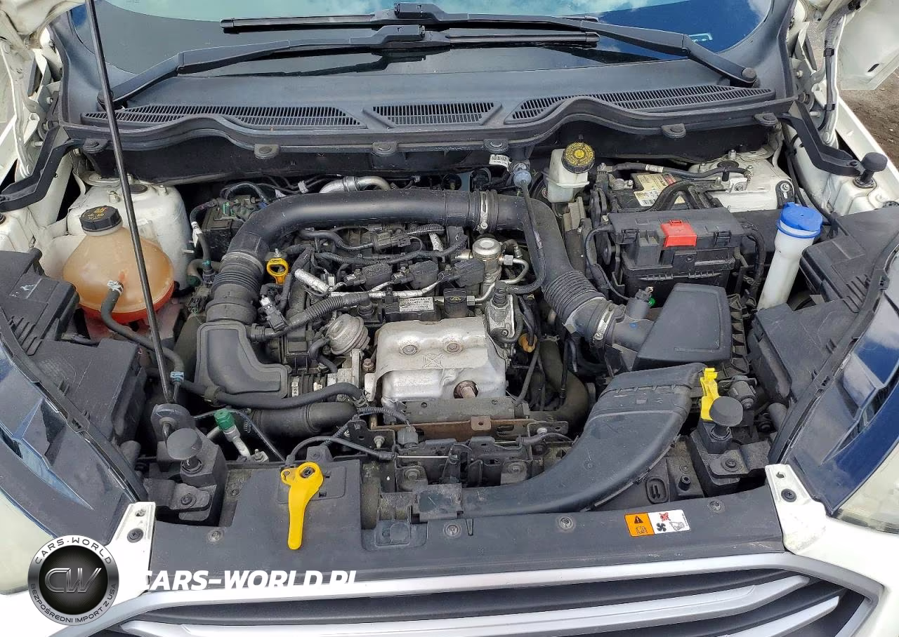 2019 Ford Eco Sport VIN:MAJ3S2GE2KC252277 - 12