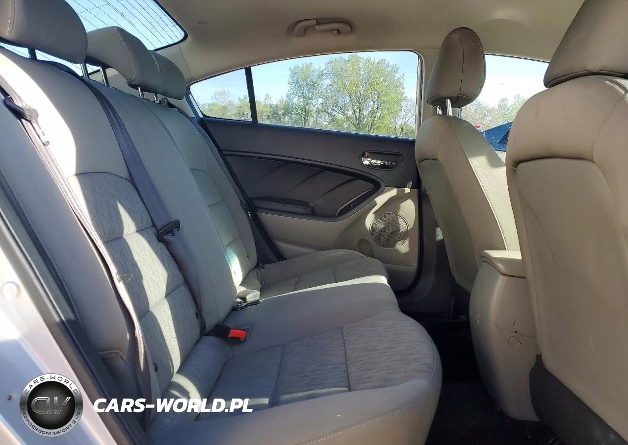 2015 Kia Forte Lx VIN:KNAFK4A64F5367328 - 10