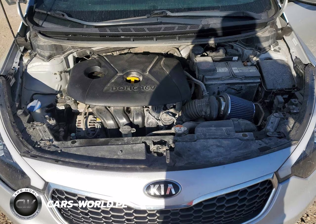 2015 Kia Forte Lx VIN:KNAFK4A64F5367328 - 11