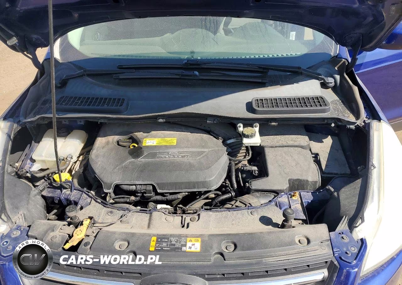 2013 Ford Escape Se VIN:1FMCU0GX5DUB80252 - 12