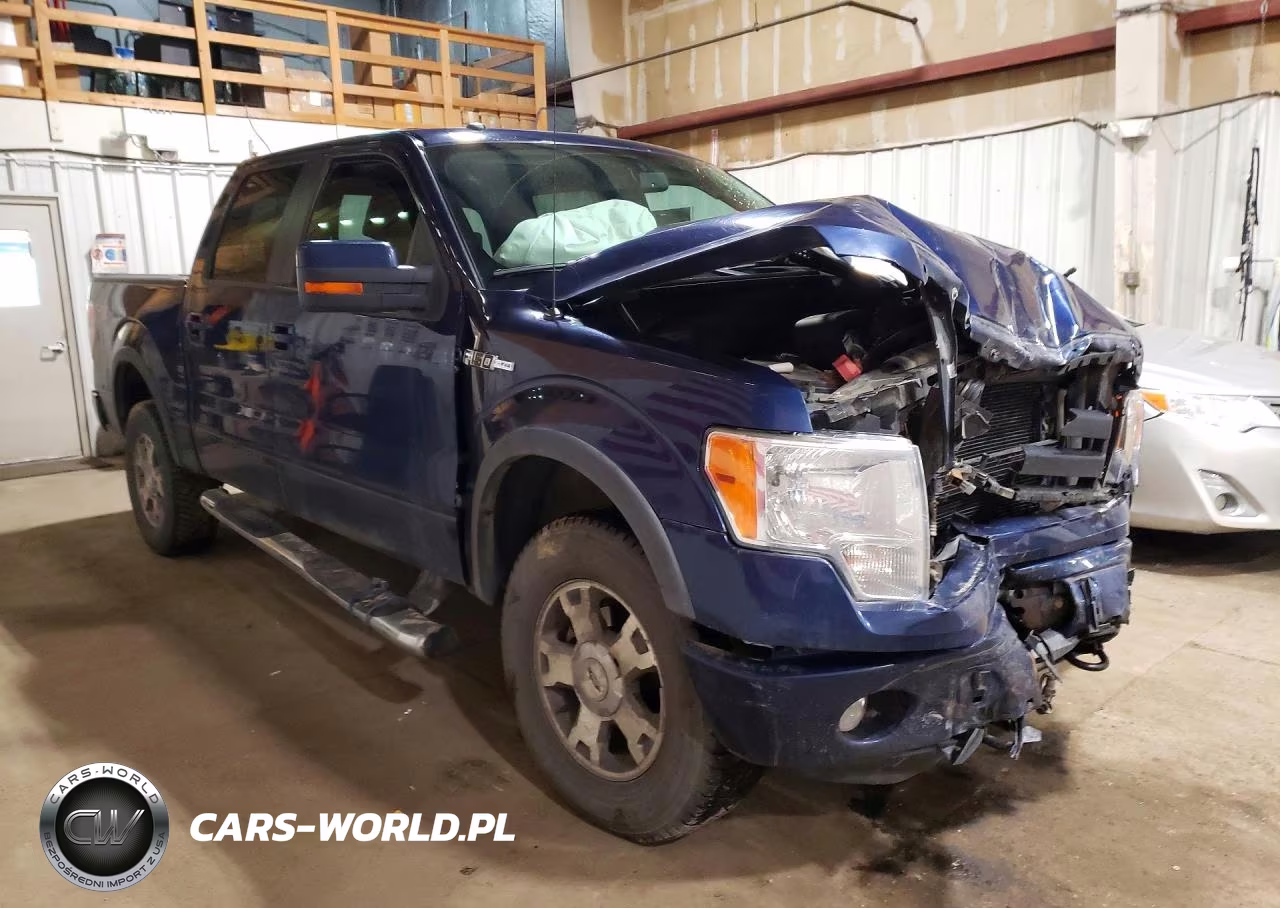 2009 Ford F150 Supercrew VIN:1FTPW14V59FA46622 - 4