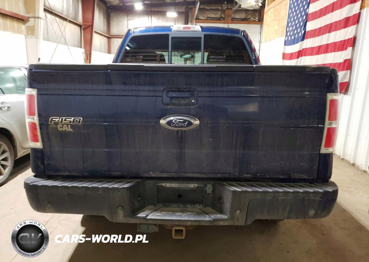 2009 Ford F150 Supercrew VIN:1FTPW14V59FA46622 - 6