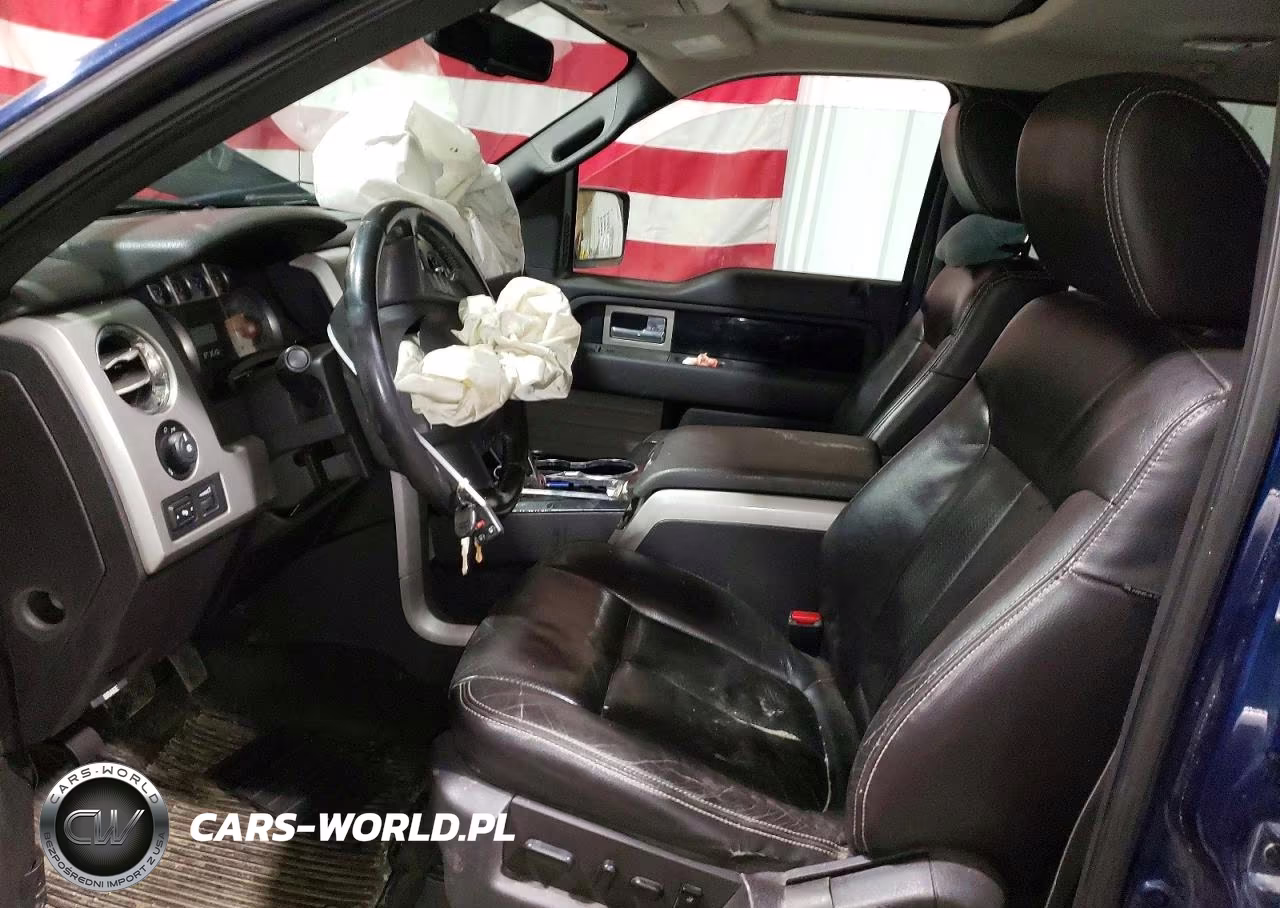 2009 Ford F150 Supercrew VIN:1FTPW14V59FA46622 - 7