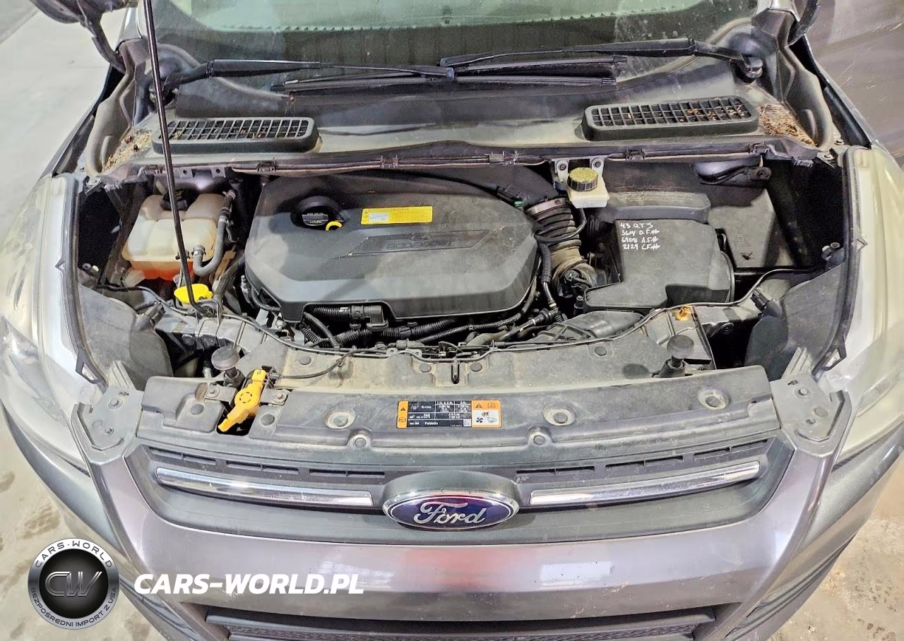 2014 Ford Escape Se VIN:1FMCU0GX6EUC18797 - 12