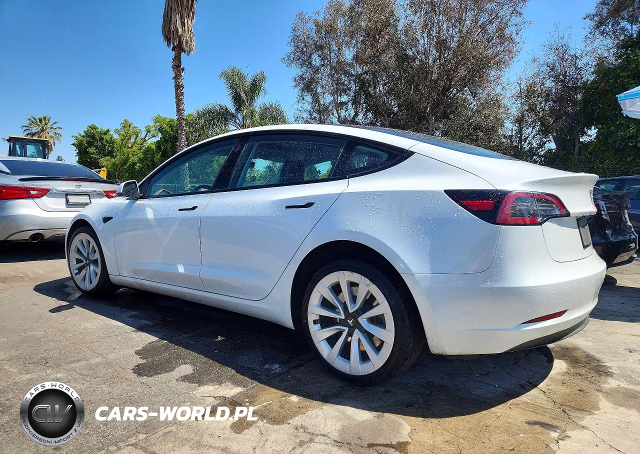 2023 Tesla Model 3 VIN:5YJ3E1EA2PF450377 - 2