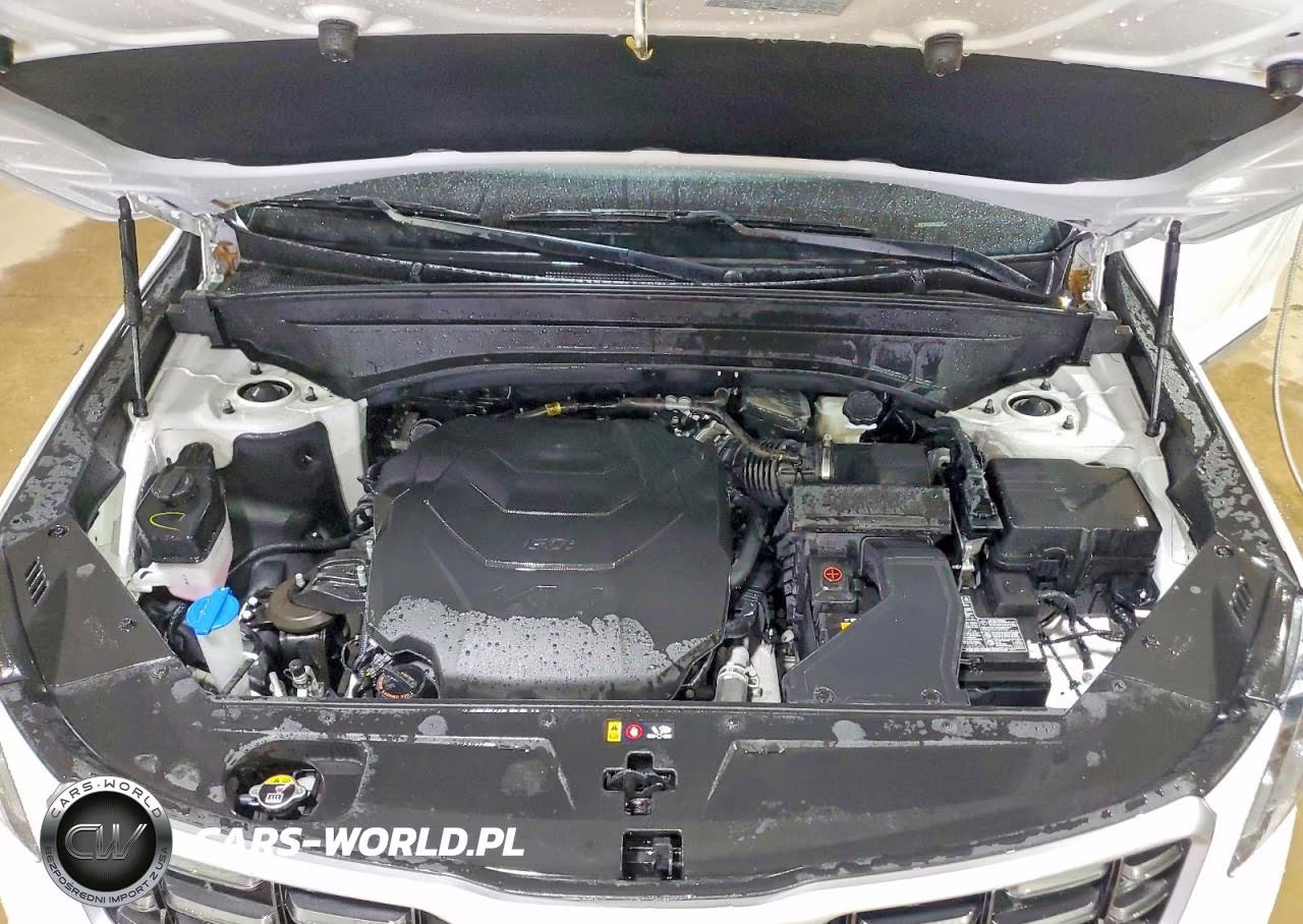2025 Kia Telluride S VIN:5XYP64GC9SG575778 - 12