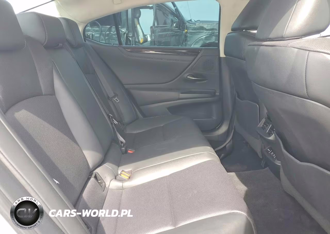 2019 Lexus Es 350 VIN:58ABZ1B15KU024403 - 10