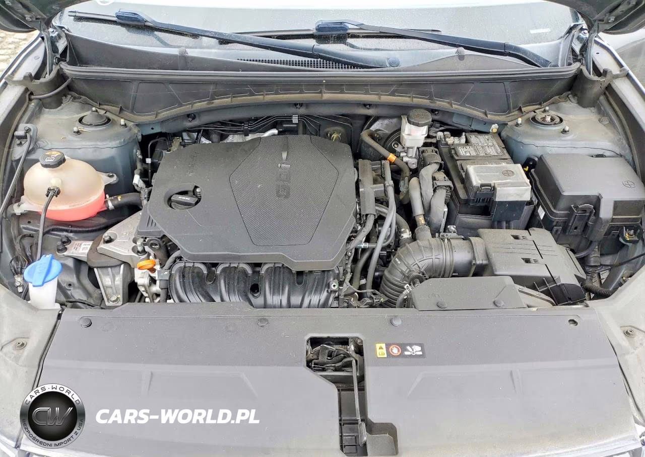 2022 Hyundai Tucson Sel VIN:5NMJBCAE0NH081731 - 12