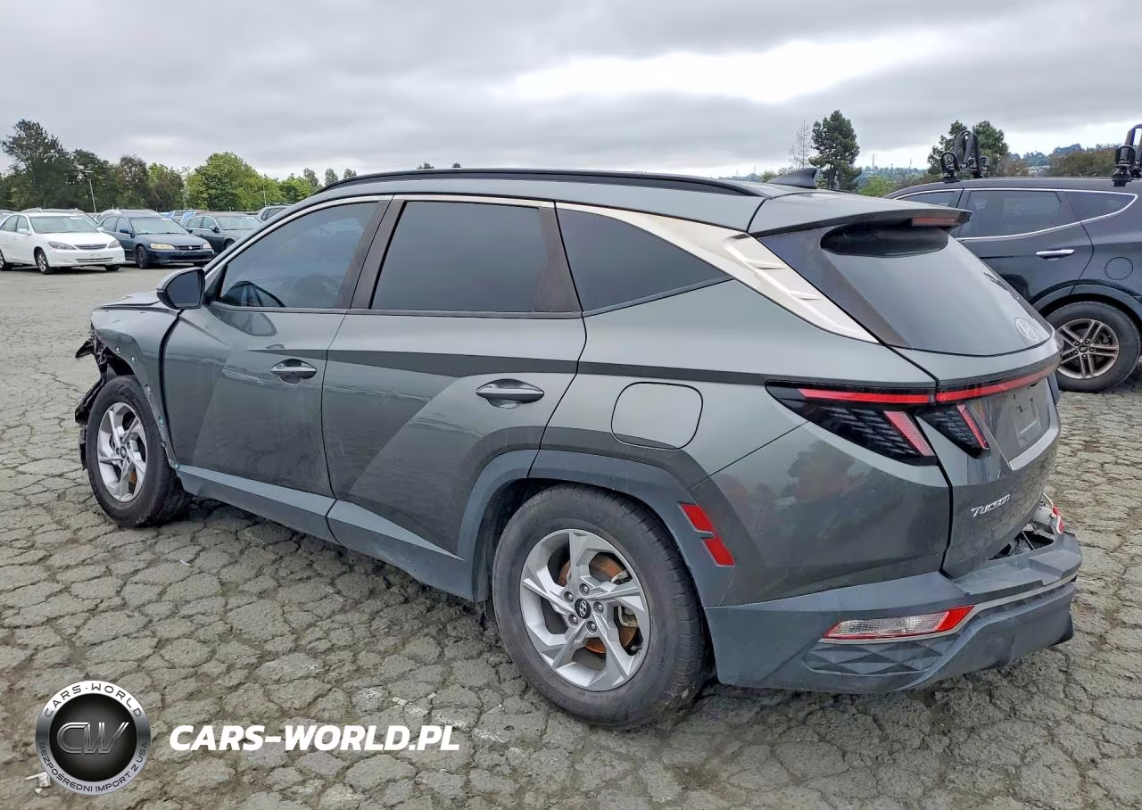 2022 Hyundai Tucson Sel VIN:5NMJBCAE0NH081731 - 2