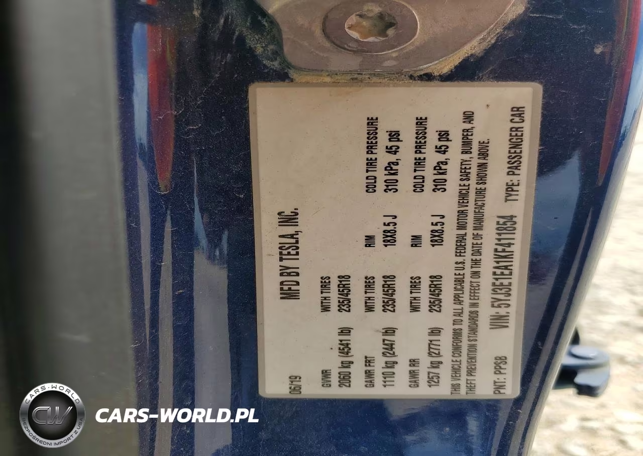 2019 Tesla Model 3 VIN:5YJ3E1EA1KF411854 - 12