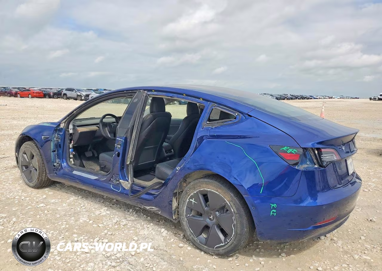 2019 Tesla Model 3 VIN:5YJ3E1EA1KF411854 - 2