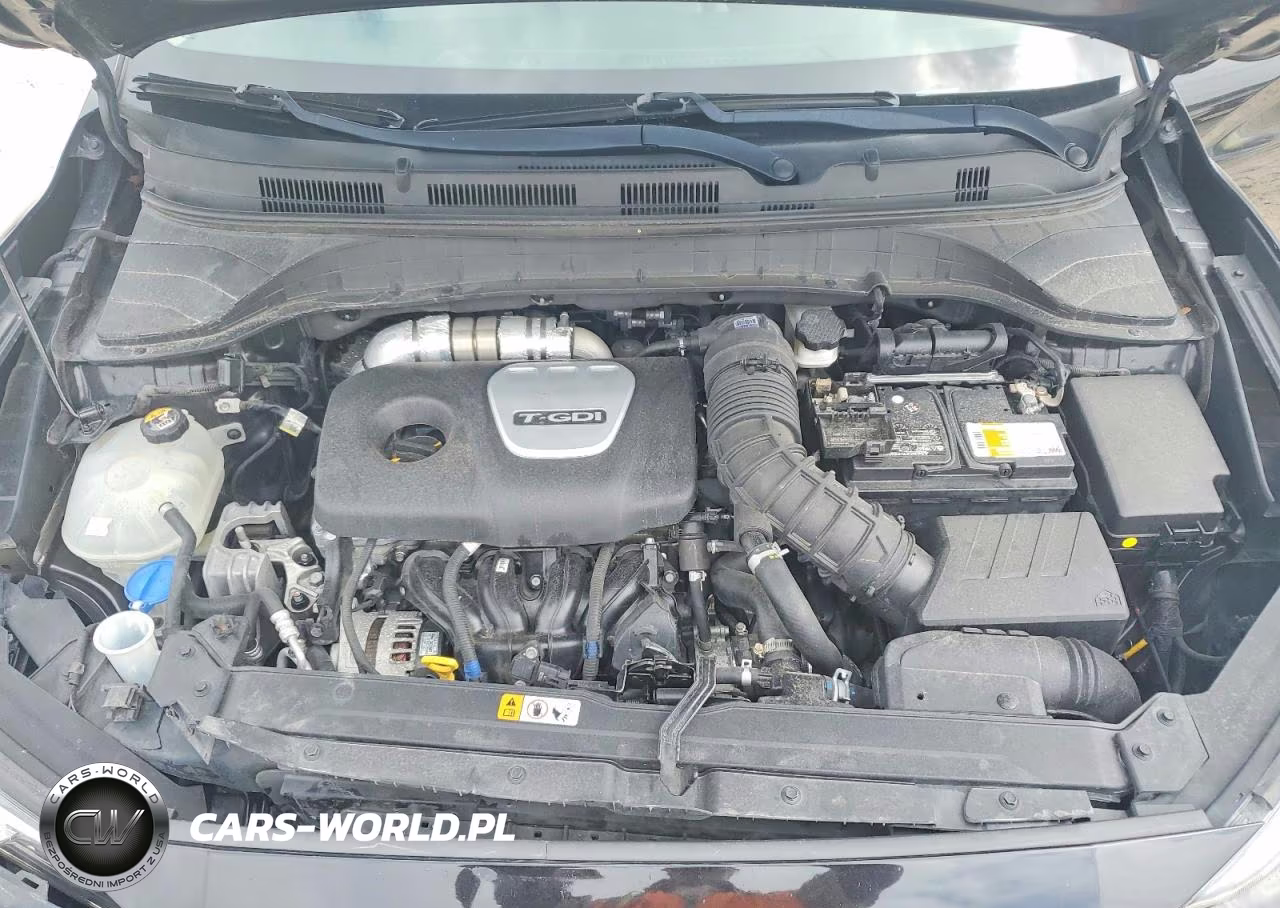 2019 Hyundai Kona Limited VIN:KM8K33A5XKU361755 - 12