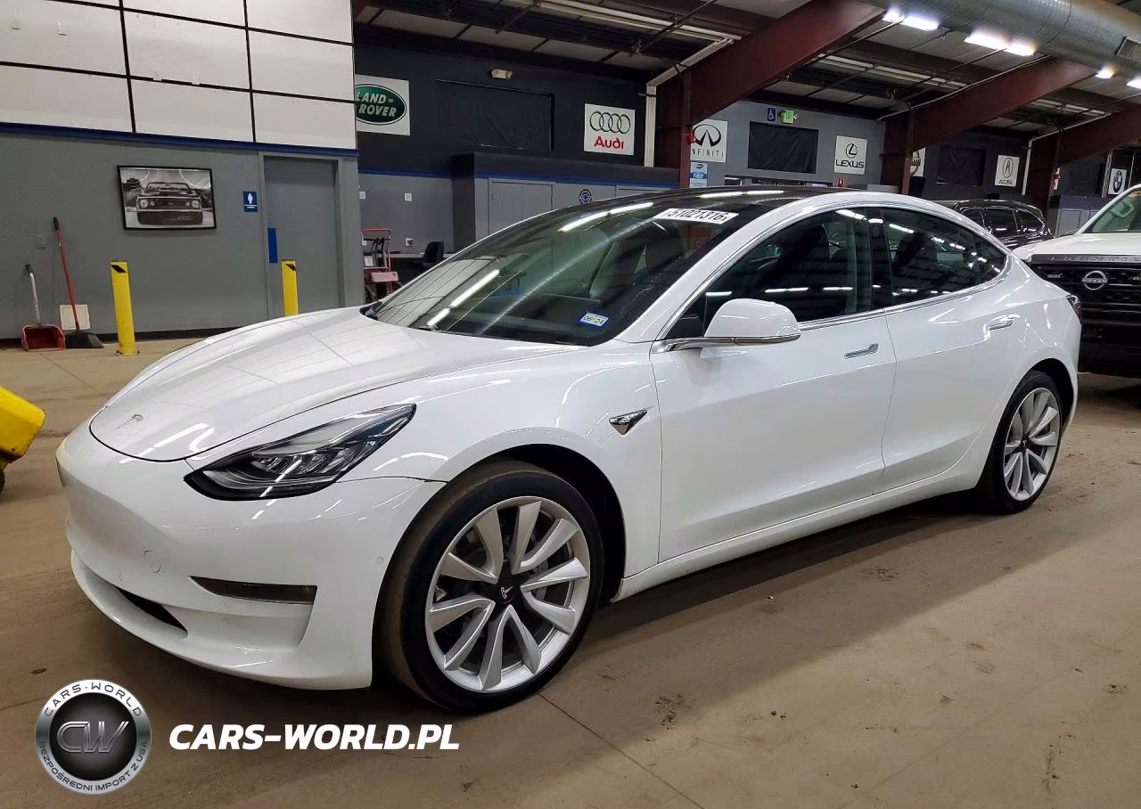 2019 Tesla Model 3