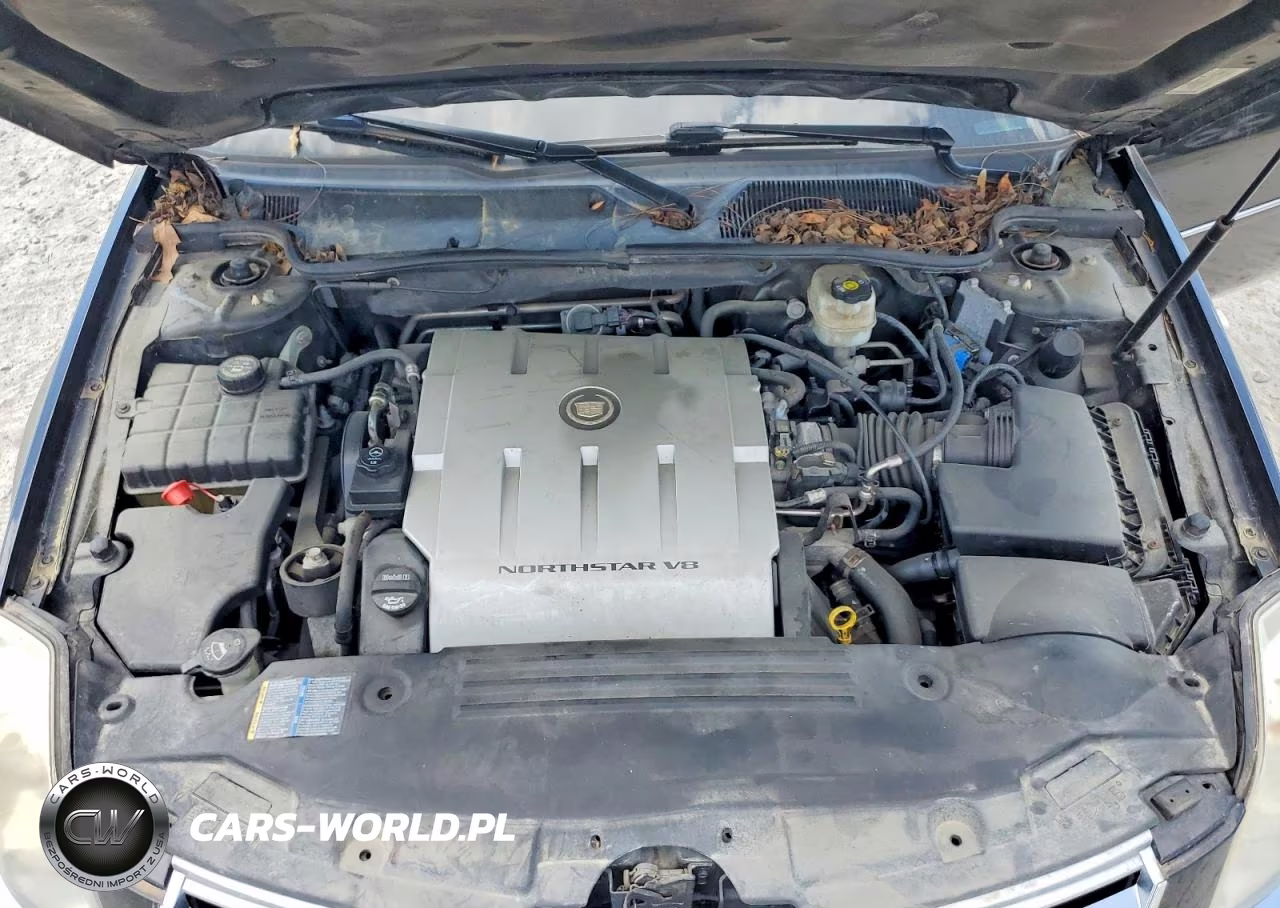 CADILLAC DTS VIN:1G6KD57Y38U203011 - 11