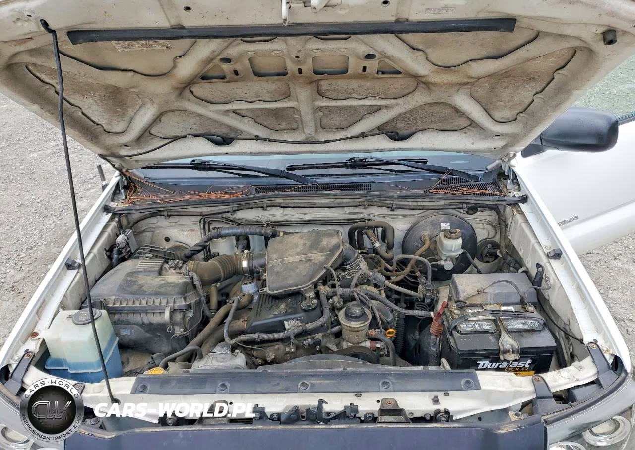 2009 Toyota Tacoma Base VIN:5TENX22NX9Z648366 - 11