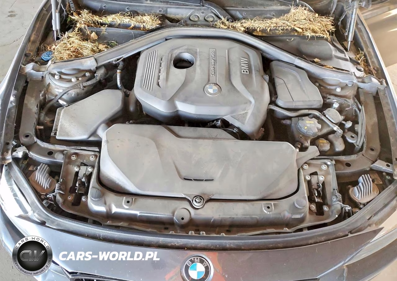 2020 BMW 430I VIN:WBA4W3C05LFJ19822 - 11