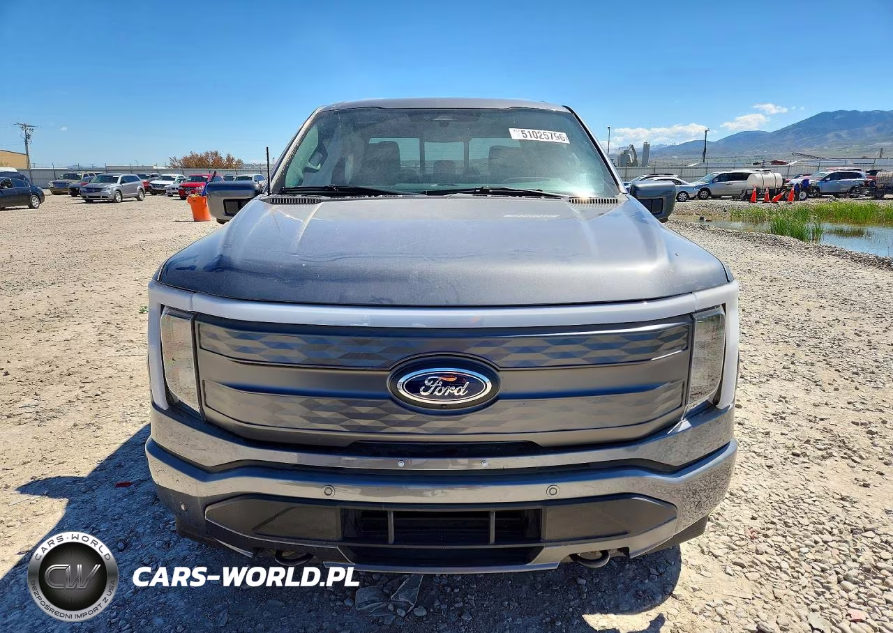 2023 Ford F150 Lightning Pro VIN:1FTVW1EL6PWG16855 - 5