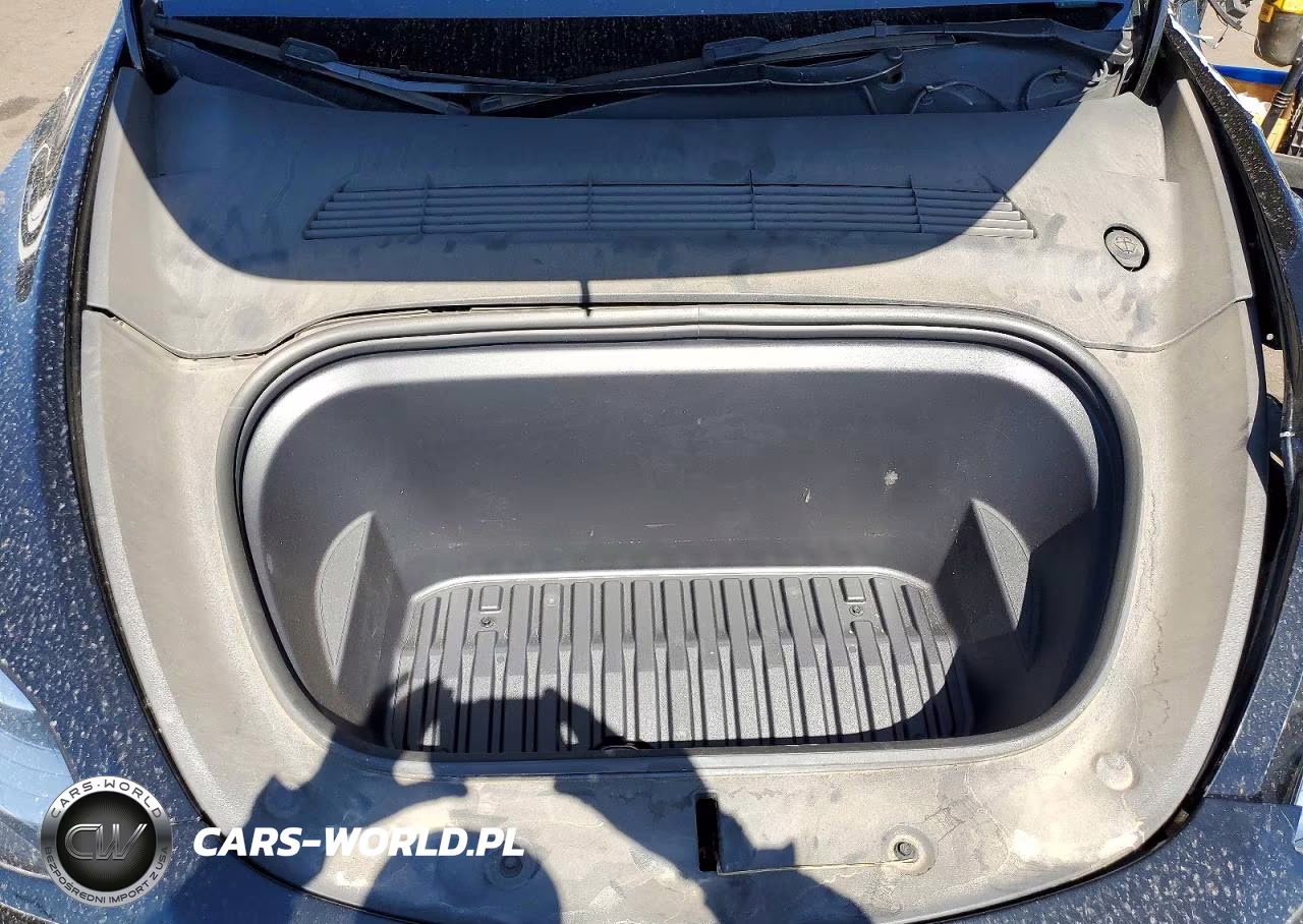 2023 Tesla Model Y VIN:7SAYGDEE2PA109906 - 11