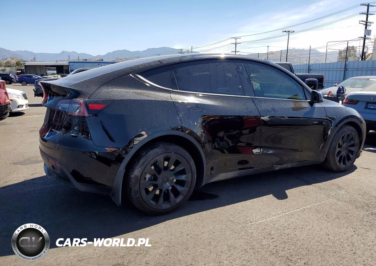 2023 Tesla Model Y VIN:7SAYGDEE2PA109906 - 3
