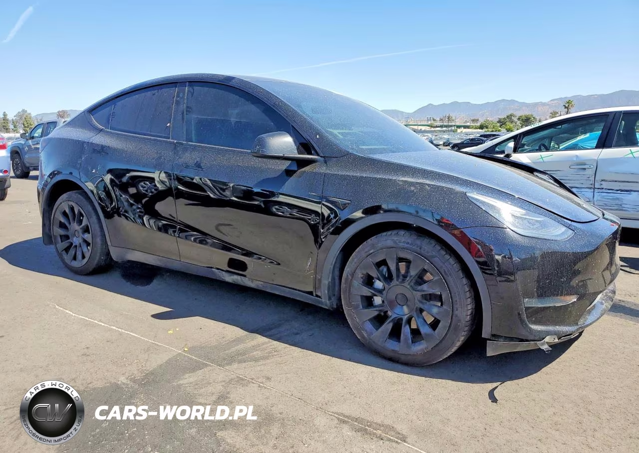 2023 Tesla Model Y VIN:7SAYGDEE2PA109906 - 4