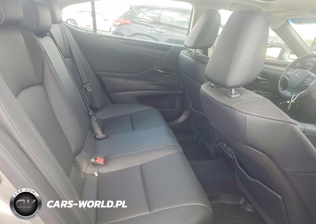 2020 Lexus Es 350 VIN:58ADZ1B11LU060874 - 10