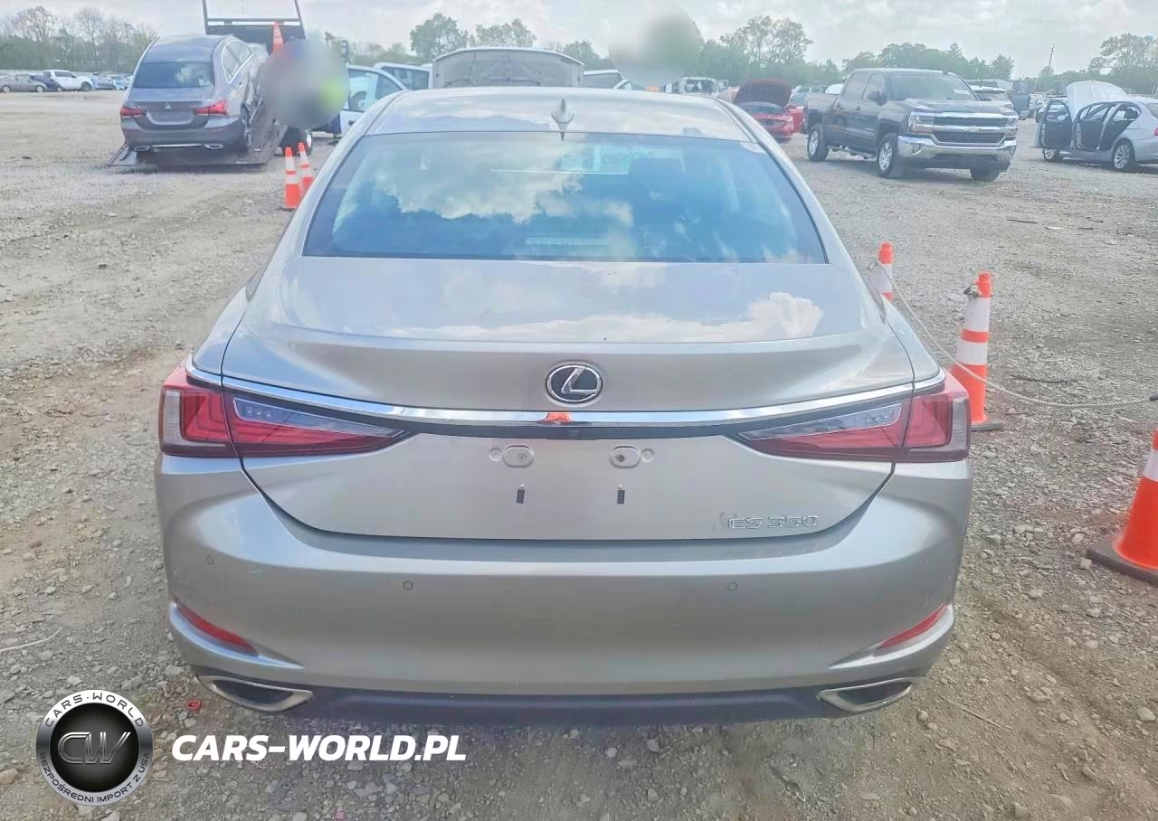 2020 Lexus Es 350 VIN:58ADZ1B11LU060874 - 6